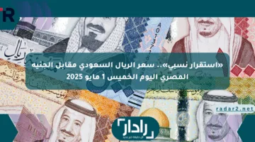 «استقرار نسبي».. سعر الريال السعودي مقابل الجنيه المصري اليوم الخميس 1 مايو 2025
